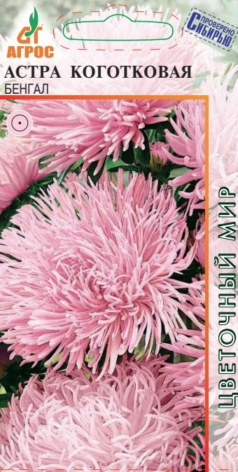 Астра Коготковая Бенгал