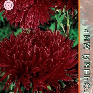 Астра Краллен Рубин