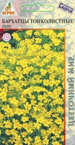 Бархатцы Лу Лу