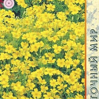 Бархатцы Лу Лу