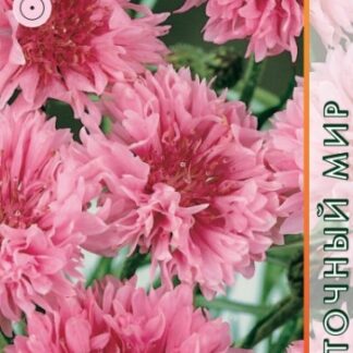 Василек Махровый Розовый