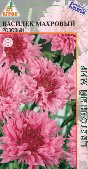 Василек Махровый Розовый