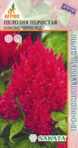 Целозия Кимоно Черри Ред