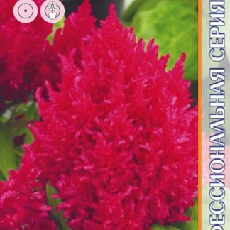 Целозия Кимоно Черри Ред