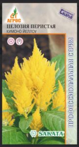 Целозия Кимоно Йеллоу