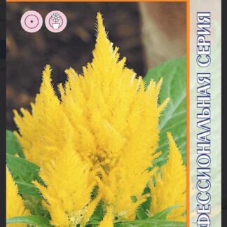 Целозия Кимоно Йеллоу