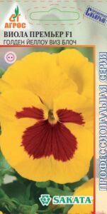Виола Премьер F1 Голден Йеллоу виз Блоч