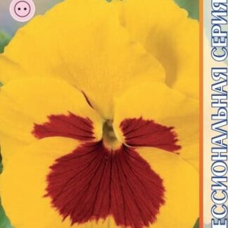 Виола Премьер F1 Голден Йеллоу виз Блоч