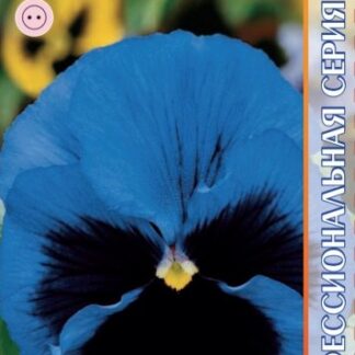 Виола Пауэ F1 Блу Виз Блоч