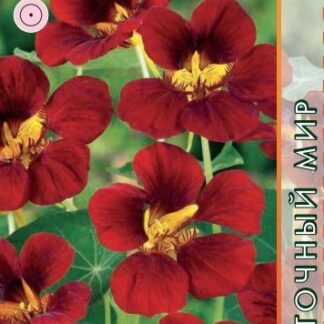 Настурция Большая Коричневый Блик