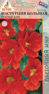 Настурция Большая Красный Блик