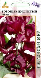 Горошек душистый Кеннет