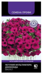Петуния мультифлора Джоконда Виолет