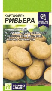 Картофель Ривьера