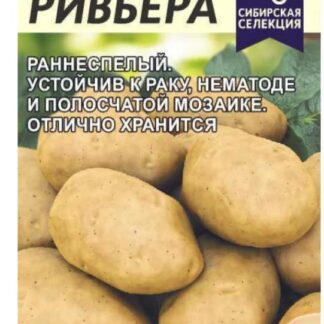 Картофель Ривьера