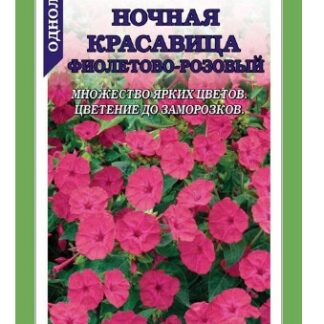 Мирабилис Ночная Красавица ФИОЛЕТОВО-РОЗОВЫЙ