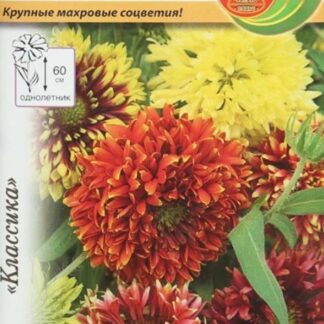 Гайлардия Лорензиана смесь