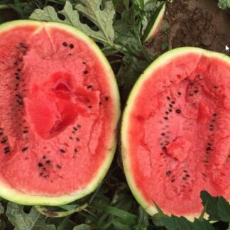 Коллекционный арбуз Супер Марио