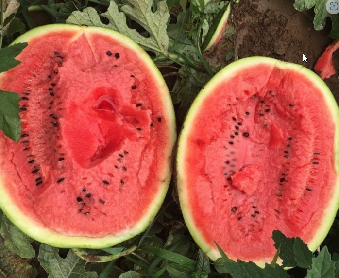 Коллекционный арбуз Супер Марио