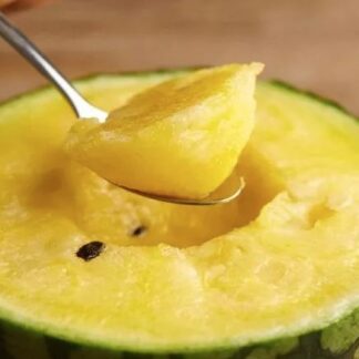 Коллекционный арбуз Бомбита