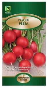 Редис  Ребел