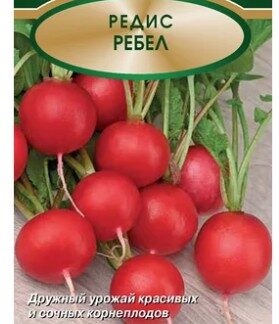 Редис  Ребел
