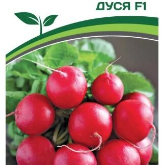 Редис ДУСЯ F1