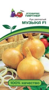 Лук репчатый МУЗЫКА F1