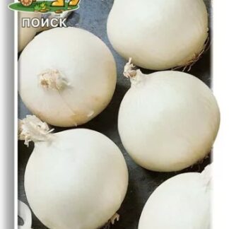 Лук репчатый  Альбион F1 1г