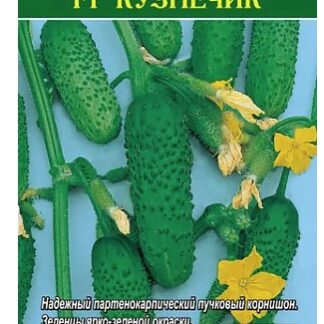 Огурец Кузнечик F1