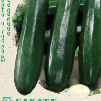 Кабачок Комо F1