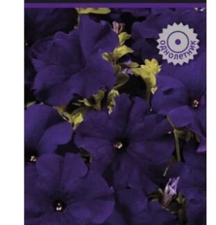 Петуния грандифлора Аладдин Синяя