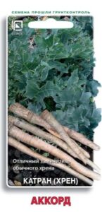 Катран (хрен) Аккорд