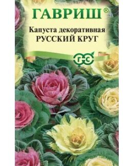 Капуста декоративная Русский круг