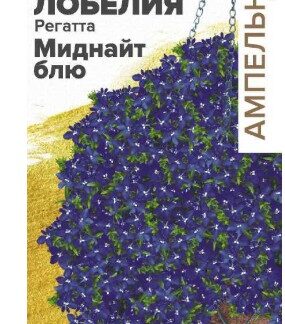 Лобелия Регатта Миднайт Блю ампельная