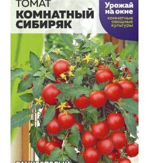 Томат Комнатный Сибиряк