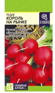 Редис Король на Рынке