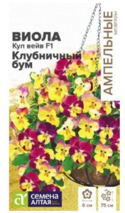 Виола Кул Вейв F1 Клубничный бум ампельная