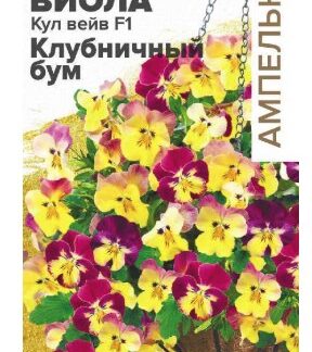 Виола Кул Вейв F1 Клубничный бум ампельная