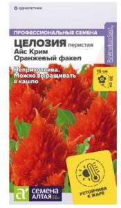 Целозия Айс Крим Оранжевый факел перистая