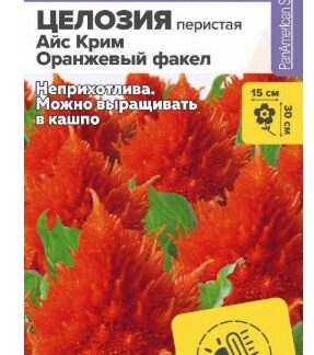 Целозия Айс Крим Оранжевый факел перистая