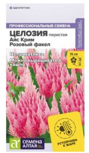 Целозия Айс Крим Розовый факел перистая