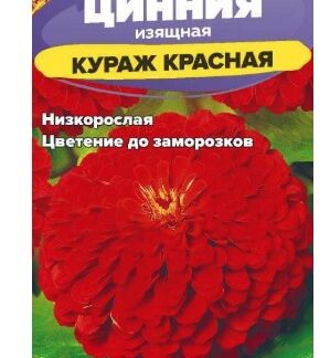 Цинния Кураж Красная карликовая