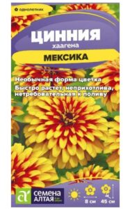 Цинния Мексика хаагена