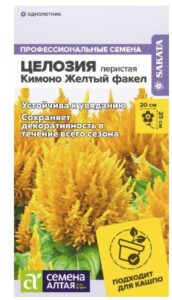 Целозия Кимоно Желтый факел перистая