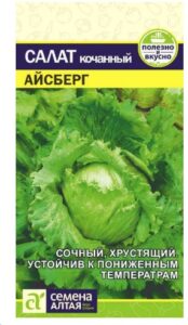 Салат Айсберг