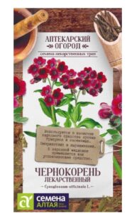 Чернокорень Лекарственный
