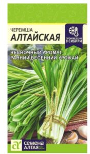 Черемша алтайская