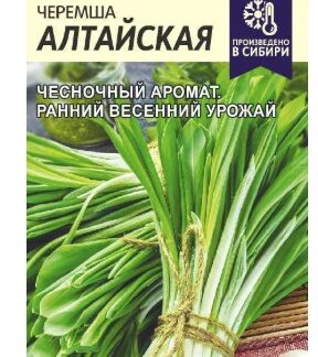 Черемша алтайская