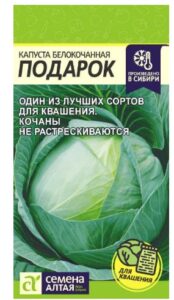 Капуста Подарок Семена Алтая